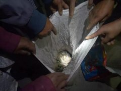  “啥？抓幾個青蛙還犯法？”或許西寧環(huán)保驗收公司