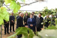 內(nèi)蒙古自治區(qū)主席：全力做好大氣污染聯(lián)防聯(lián)控聯(lián)治工作 確保“藍天保衛(wèi)戰(zhàn)”圓滿收官青海水土保持代辦公司